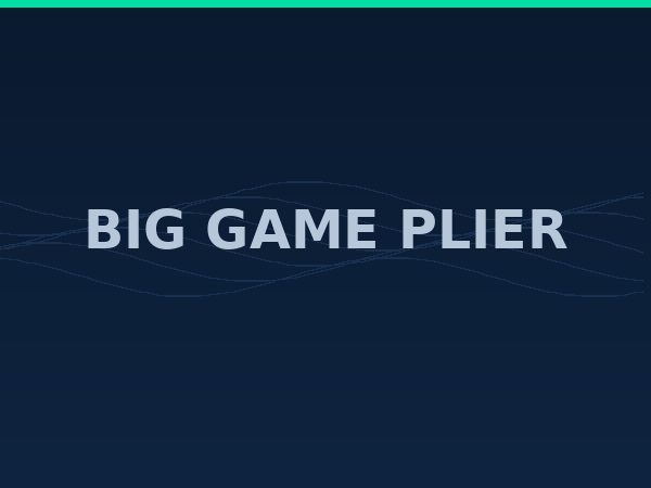 Big Game Plier 27cm